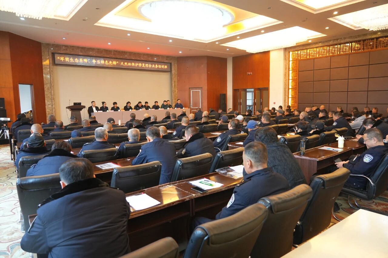 微信图片_2025-10-23_080954_524.jpg
