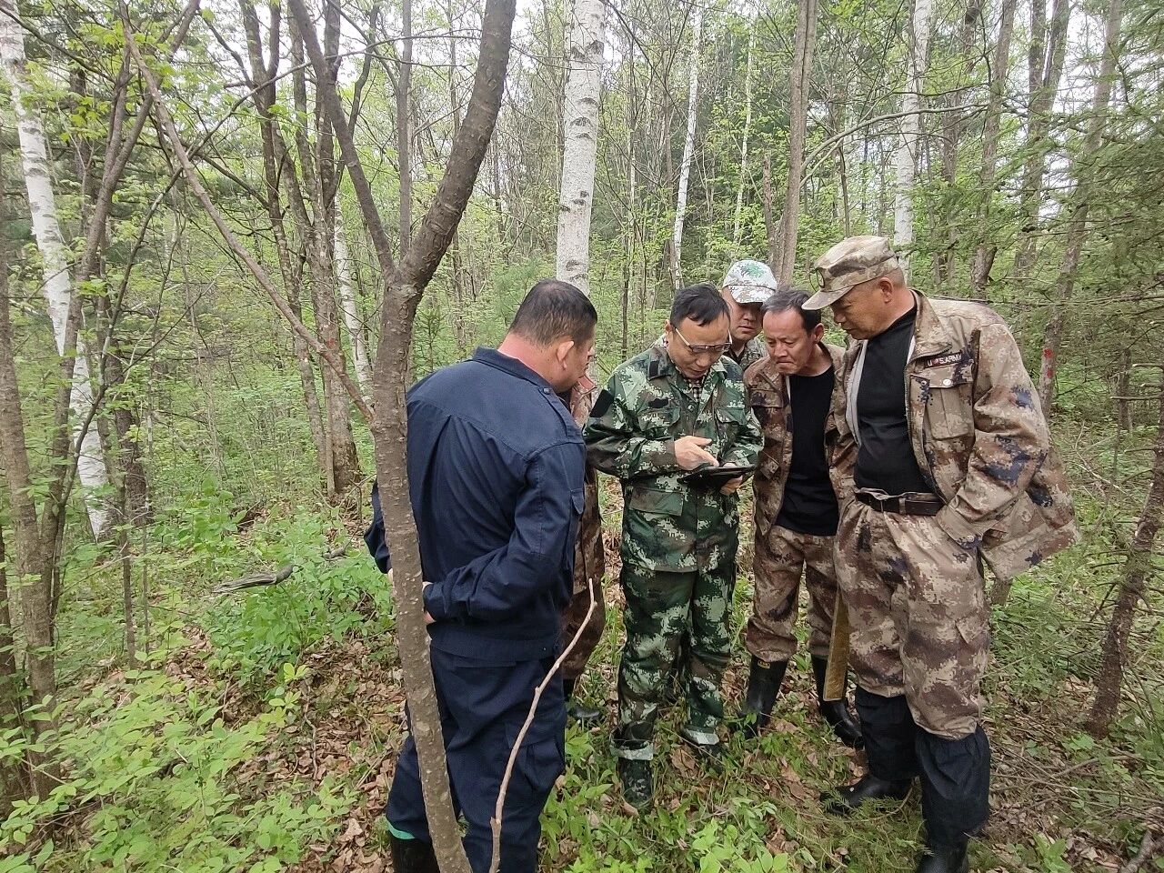 微信图片_2026-05-15_093820_851.jpg